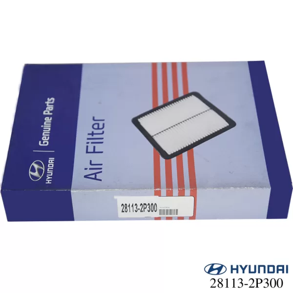 Lọc gió động cơ Hyundai SantaFe máy dầu Diesel 2010-2014 - COPY - HYUNDAI - SANTAFE (Cái) - Hình ảnh 3