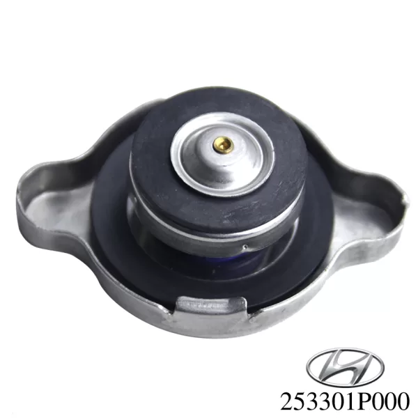 Nắp két nước Grand i10 - Hình ảnh 2