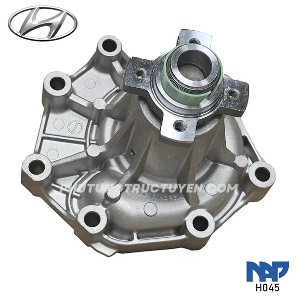 Bơm nước SOLATI ren trái - Hình ảnh 2